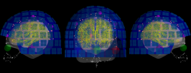 ../../_images/sphx_glr_plot_analysis_10_026.png