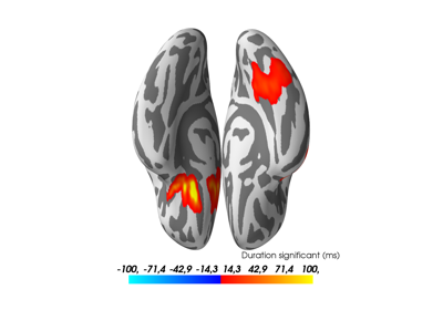 ../_images/sphx_glr_plot_source_stats_thumb.png