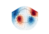 Plotting topographic arrowmaps of evoked data