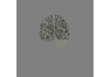 Generate a left cerebellum volume source space