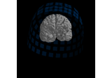Plot the MNE brain and helmet