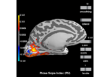 Compute Phase Slope Index (PSI) in source space for a visual stimulus