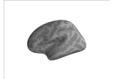 Plot a cortical parcellation