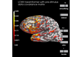 Compute cross-talk functions for LCMV beamformers