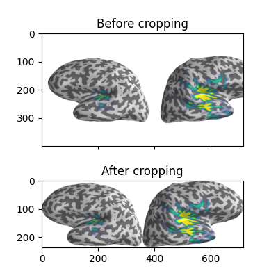 Before cropping, After cropping