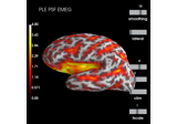 Compute spatial resolution metrics to compare MEG with EEG+MEG