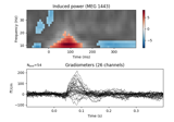 Non-parametric 1 sample cluster statistic on single trial power