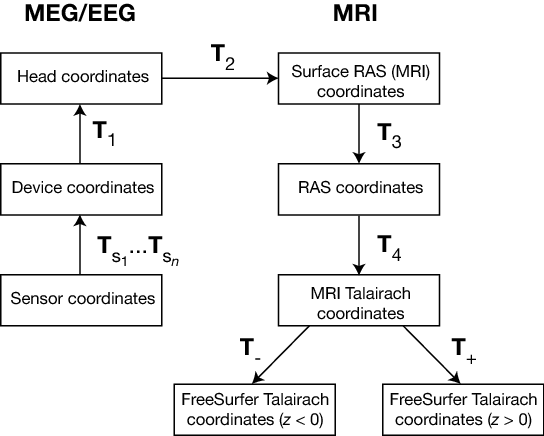 MEG/EEG and MRI coordinate systems