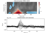 Non-parametric 1 sample cluster statistic on single trial power