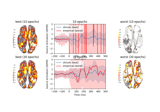 Demonstrate impact of whitening on source estimates