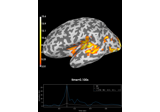 Decoding source space data