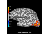 Compute Phase Slope Index (PSI) in source space for a visual stimulus