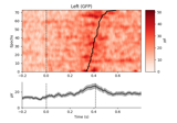 Plot single trial activity, grouped by ROI and sorted by RT