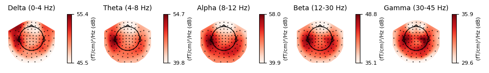 Delta (0-4 Hz), Theta (4-8 Hz), Alpha (8-12 Hz), Beta (12-30 Hz), Gamma (30-45 Hz)