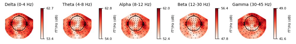 Delta (0-4 Hz), Theta (4-8 Hz), Alpha (8-12 Hz), Beta (12-30 Hz), Gamma (30-45 Hz)