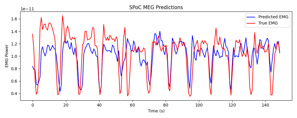 SPoC MEG Predictions