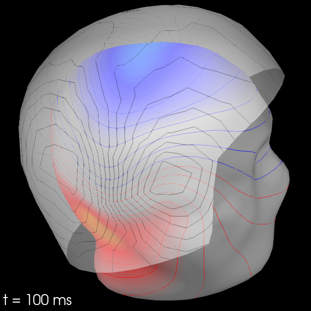 20 visualize evoked