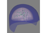 Brainstorm Elekta phantom dataset tutorial