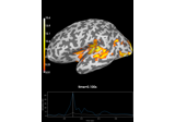 Decoding source space data