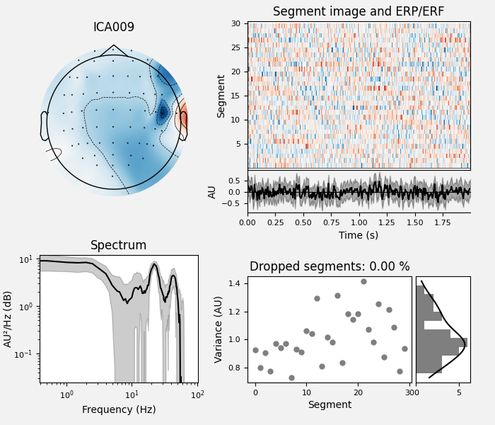 ICA009, Segment image and ERP/ERF, Spectrum, Dropped segments: 0.00 %