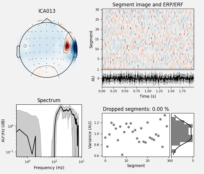 ICA013, Segment image and ERP/ERF, Spectrum, Dropped segments: 0.00 %