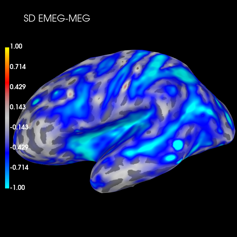 resolution metrics eegmeg