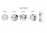 Remap MEG channel types