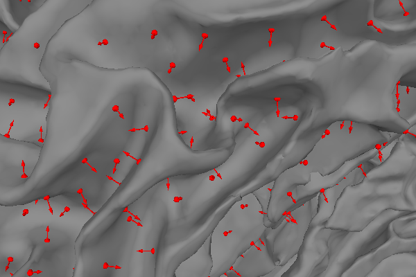 35 dipole orientations