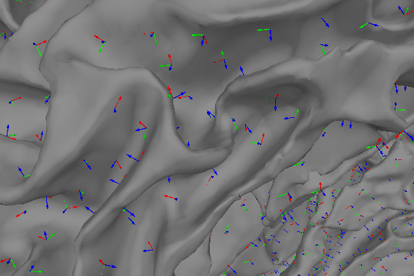 35 dipole orientations