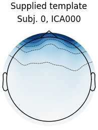 Supplied template, Subj. 0, ICA000