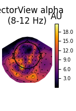 VectorView alpha (8-12 Hz), AU