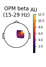 OPM beta (15-29 Hz), AU