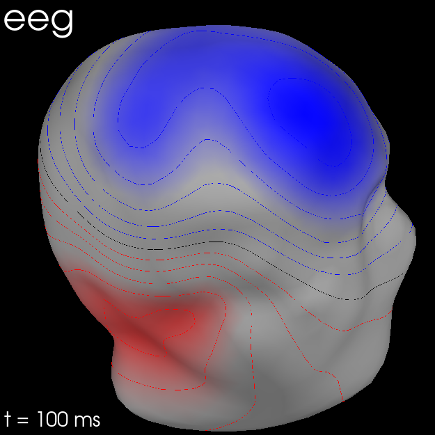 20 visualize evoked