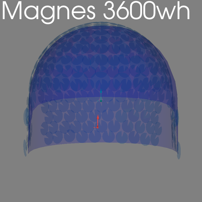 meg sensors