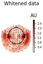 Whitened data, AU