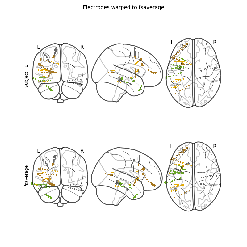 Electrodes warped to fsaverage