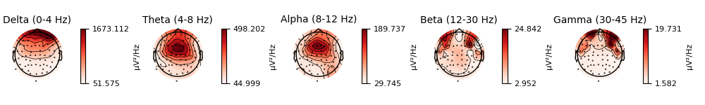 Delta (0-4 Hz), Theta (4-8 Hz), Alpha (8-12 Hz), Beta (12-30 Hz), Gamma (30-45 Hz)