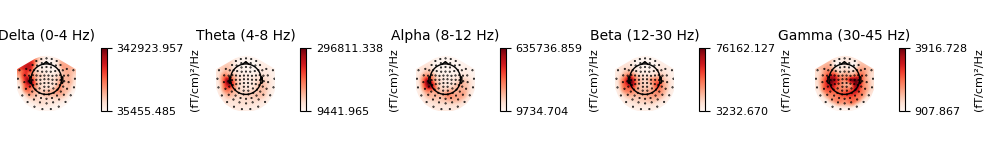 Delta (0-4 Hz), Theta (4-8 Hz), Alpha (8-12 Hz), Beta (12-30 Hz), Gamma (30-45 Hz)