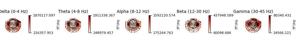 Delta (0-4 Hz), Theta (4-8 Hz), Alpha (8-12 Hz), Beta (12-30 Hz), Gamma (30-45 Hz)