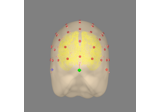 EEG forward operator with a template MRI