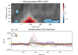 Non-parametric 1 sample cluster statistic on single trial power