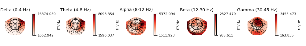 Delta (0-4 Hz), Theta (4-8 Hz), Alpha (8-12 Hz), Beta (12-30 Hz), Gamma (30-45 Hz)