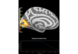 Repeated measures ANOVA on source data with spatio-temporal clustering