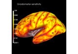 Display sensitivity maps for EEG and MEG sensors