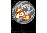 Morph surface source estimate