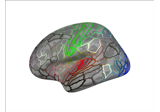 Plot a cortical parcellation