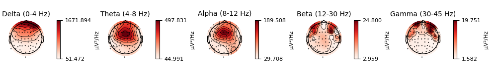 Delta (0-4 Hz), Theta (4-8 Hz), Alpha (8-12 Hz), Beta (12-30 Hz), Gamma (30-45 Hz)