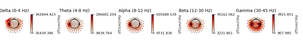 Delta (0-4 Hz), Theta (4-8 Hz), Alpha (8-12 Hz), Beta (12-30 Hz), Gamma (30-45 Hz)