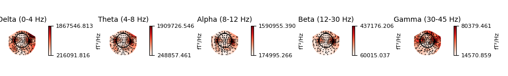 Delta (0-4 Hz), Theta (4-8 Hz), Alpha (8-12 Hz), Beta (12-30 Hz), Gamma (30-45 Hz)