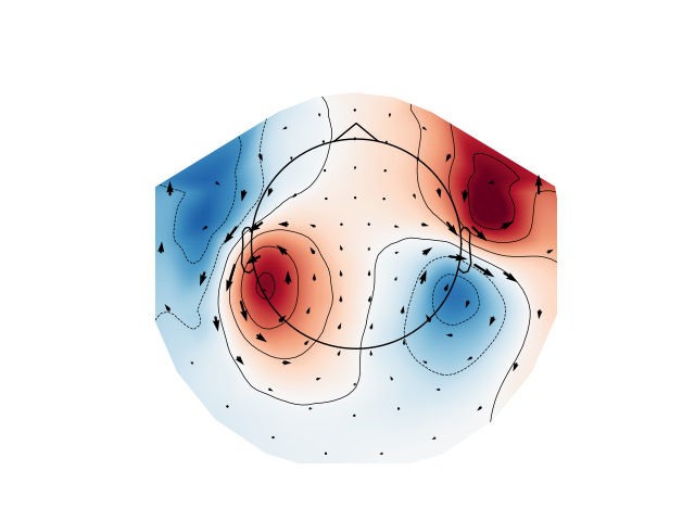 evoked arrowmap